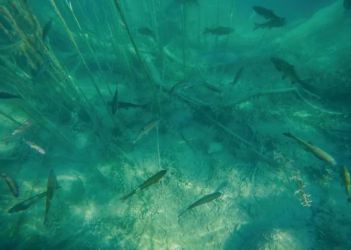 Awesome In With Jacuzzi